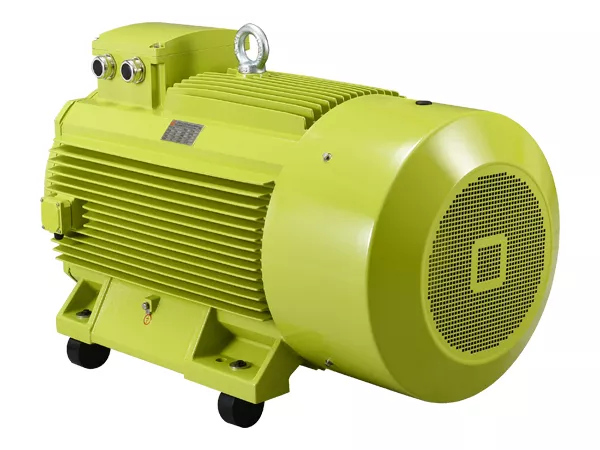 IE5/YE5 Series High Efficient Three-Phase Asynchronous Motor